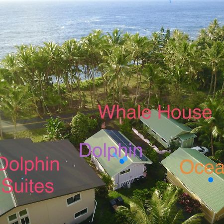 Whale House At Kehena Beach Pahoa Εξωτερικό φωτογραφία
