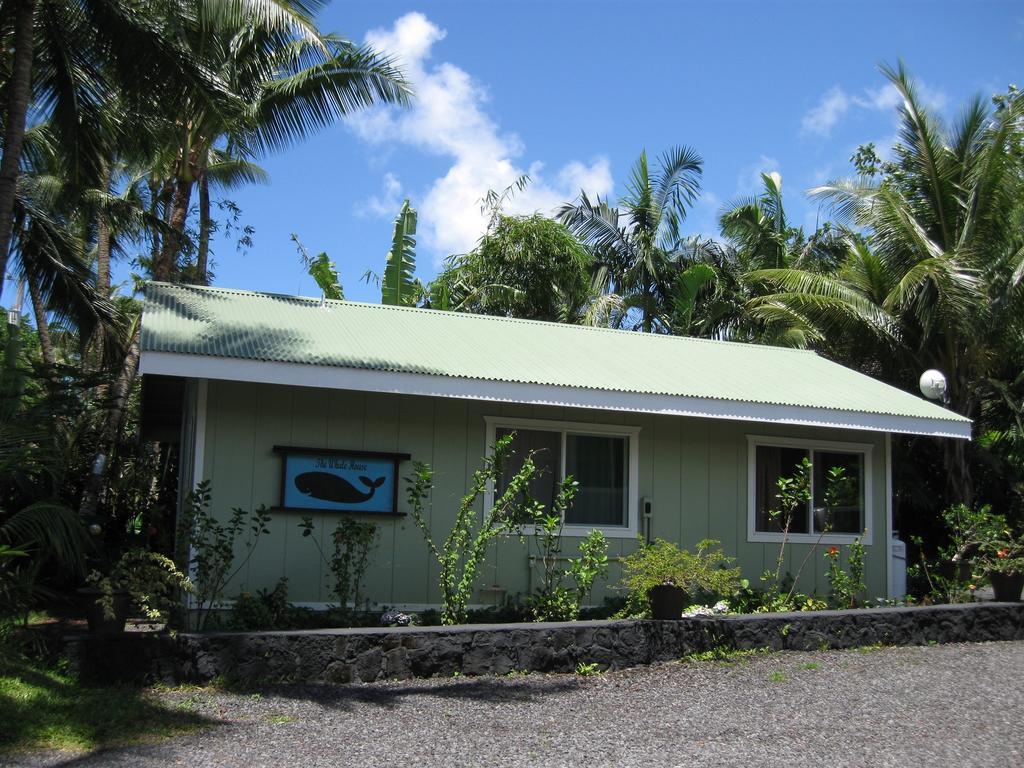 Whale House At Kehena Beach Pahoa Δωμάτιο φωτογραφία