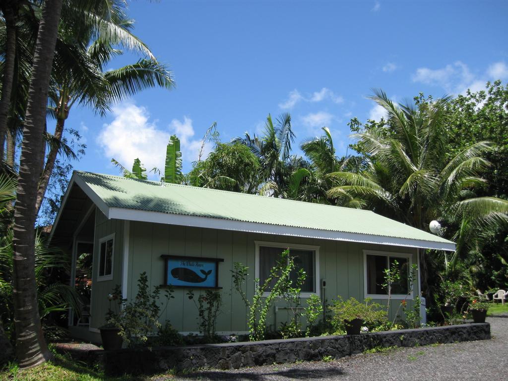Whale House At Kehena Beach Pahoa Δωμάτιο φωτογραφία
