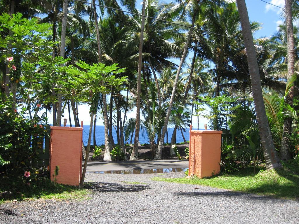 Whale House At Kehena Beach Pahoa Δωμάτιο φωτογραφία