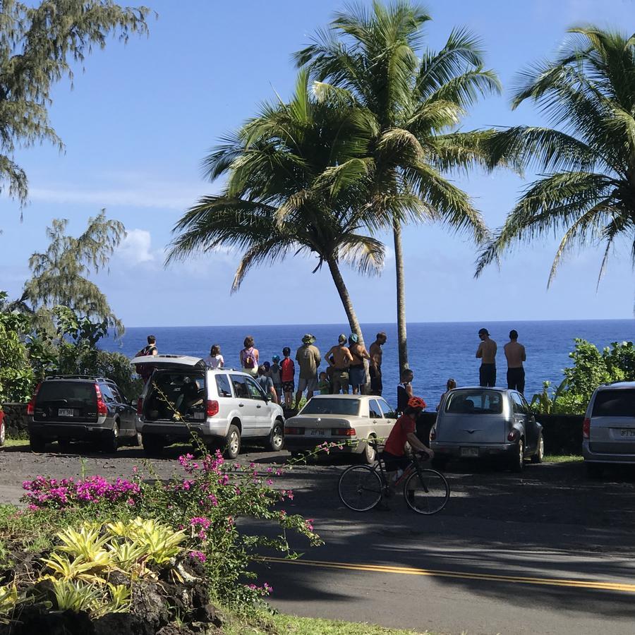 Whale House At Kehena Beach Pahoa Εξωτερικό φωτογραφία