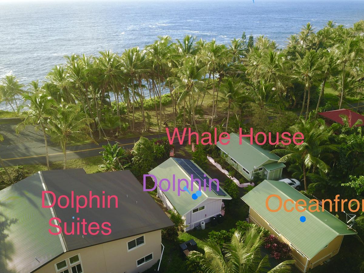 Whale House At Kehena Beach Pahoa Εξωτερικό φωτογραφία
