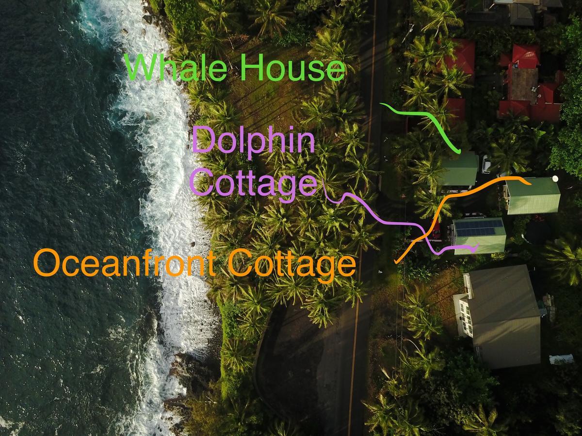 Whale House At Kehena Beach Pahoa Εξωτερικό φωτογραφία
